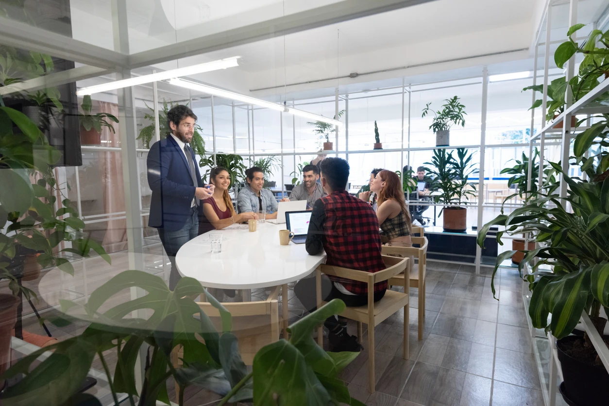 Team meeting to discover & strategize new project plans in a bright, plant-filled office